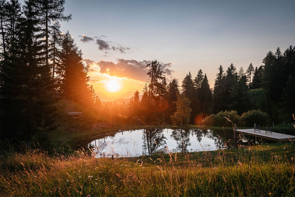 Urlaub Auf Der Alm Dolomiten