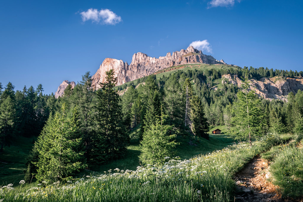 Wandern Rosengarten